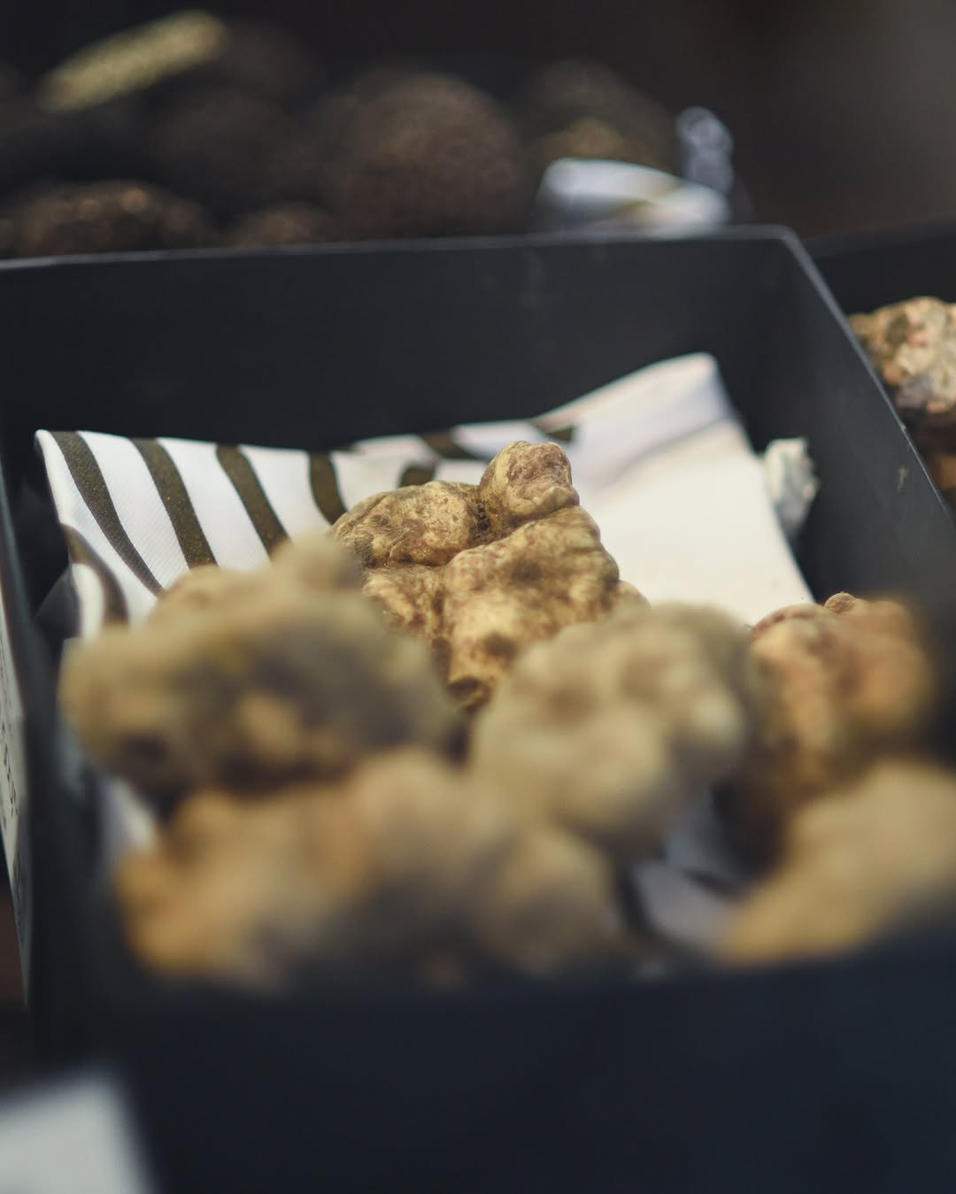 Tartófla 43: Festa del Tartufo a Savigno