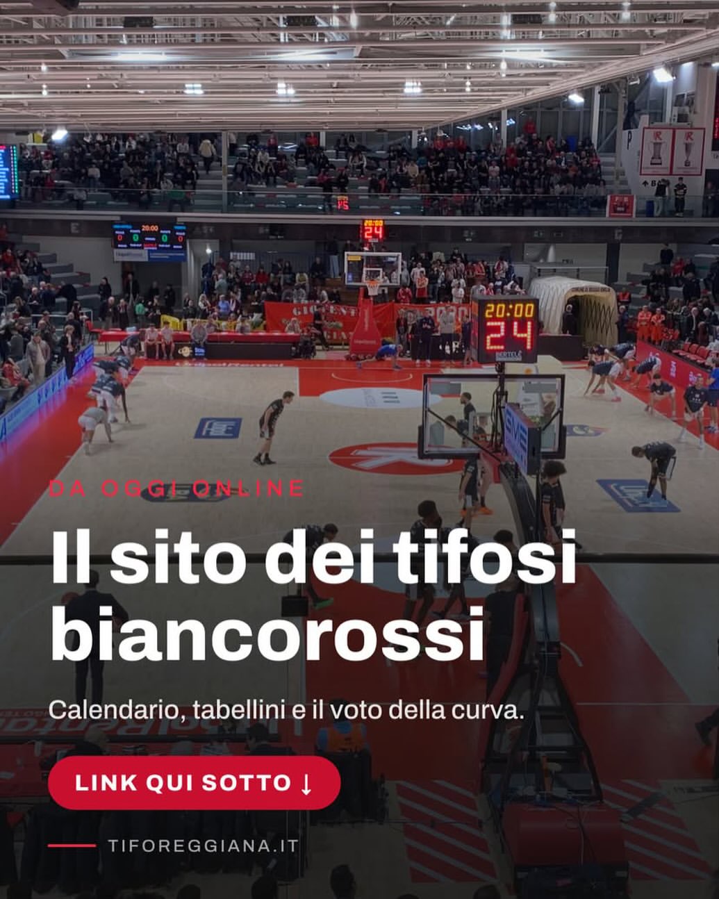 Pallacestro Reggiana - Campionato e Champions